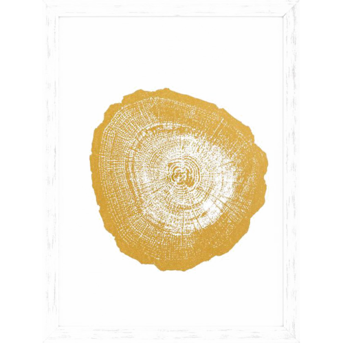 Фото №1 - Gold Foil Poster: Tree Rings(110875-1)
