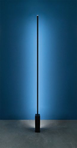 Фото №4 - Linescapes Floor Lamp(LINFLO)