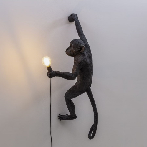 Фото №7 - Monkey Wall Lamp(2S143847)