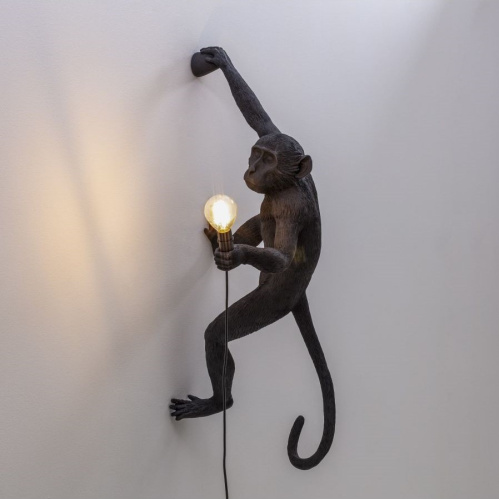 Фото №1 - Monkey Wall Lamp(2S143847)