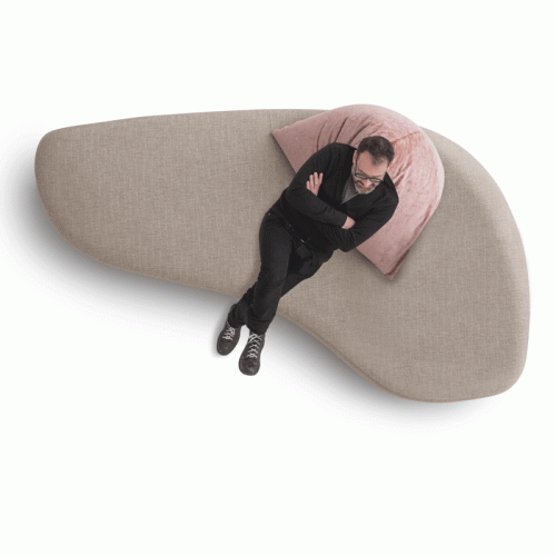 Фото №3 - Modular sofa Papilo(PAPILOSOFA)