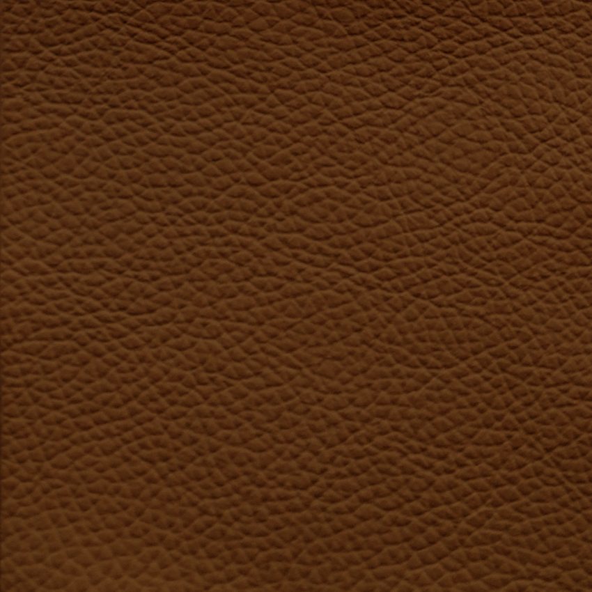 havana leather